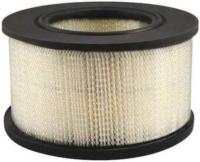 Main image of BALDWIN FILTERS PA3970 Air Filter,6-1/2 x 3-21/32 in.