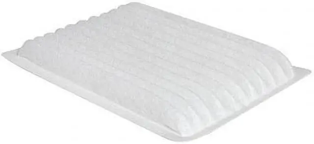 Main image of BALDWIN FILTERS PA30261 Air Filter,7" L,4-3/4" W,11/16" H