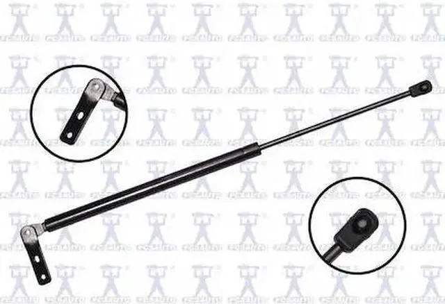 Main image of FCS STRUTS 84869R Lift Support Tailgate Right, 84869R