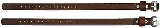 Main image of KLEIN TOOLS 5301-18 Strap for Pole, Tree Climbers 1 x 22-Inch,PR