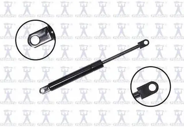 Main image of FCS STRUTS 84034 Lift Support Hood, 84034