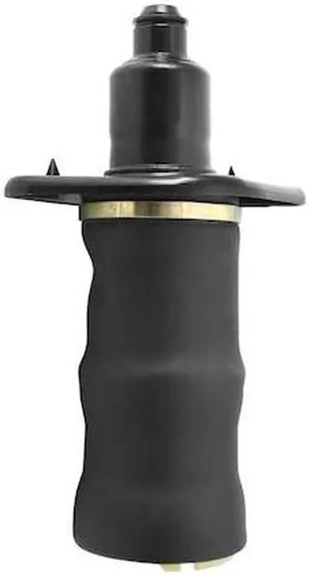 Main image of UNITY 15-529902 15-529902 Rear Right Air Spring