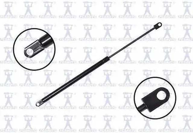 Main image of FCS STRUTS 84507 Lift Support Hood, 84507