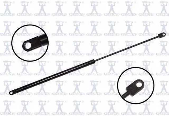 Main image of FCS STRUTS 84760 Lift Support Hood, 84760