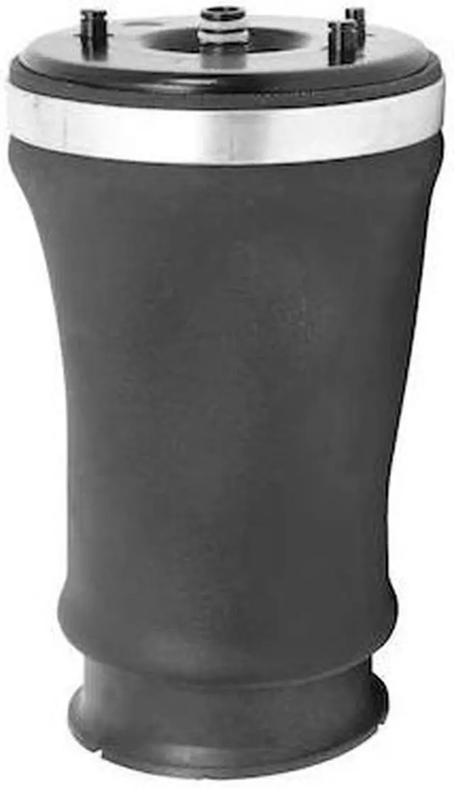 Main image of UNITY 15-525501 15-525501 Rear Left Air Spring