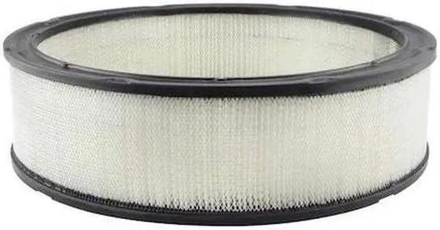 Main image of BALDWIN FILTERS PA693 Air Filter,12-3/4 x 3-1/2 in.