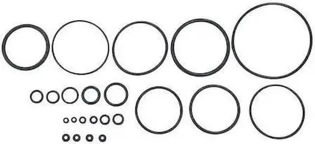 Main image of SPEEDAIRE PN31CCP21G O-ring Kit