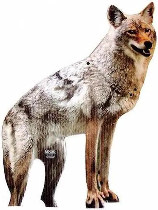 Alt view image 6 of 9 - BIRD-X COYOTE Coyote, 2-D,4 lb.,Coraplast