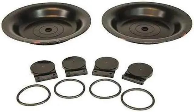 Main image of DAYTON 34TJ48 Repair Pump Kit,Air Operated,Buna N