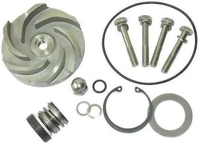 Main image of DAYTON 21TG93 Pump Repair Kit,For 2ZWZ3A