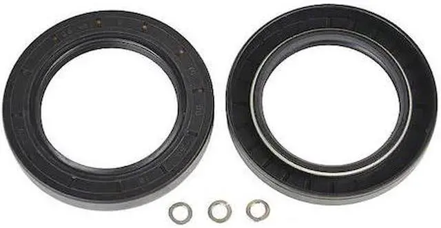 Main image of DAYTON PPHP51000218G Oil Seal Repair Kit