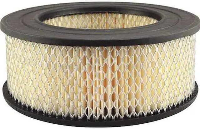 Main image of BALDWIN FILTERS PA1861 Air Filter,9-3/4 x 3-11/16 in.