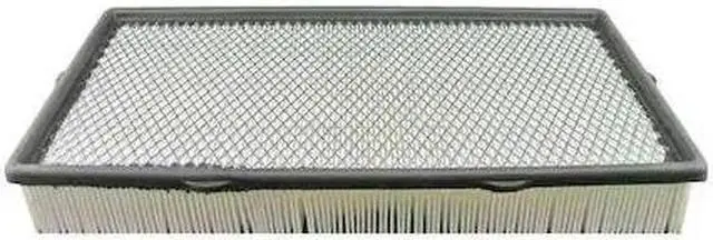 Main image of BALDWIN FILTERS PA5428 Air Filter,8-7/8 x 2-1/4 in.