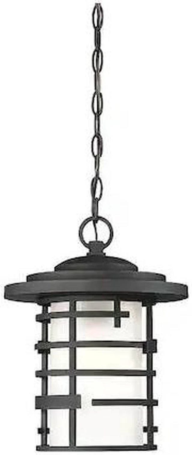 Main image of NUVO 60-6405 Lansing 1-Light Outdoor Hanging Lantern with Etched Glass
