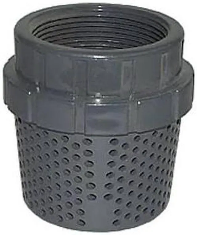 Main image of LEGEND VALVE 201-297 1-1/2" PVC FOOT VALVE SCREEN