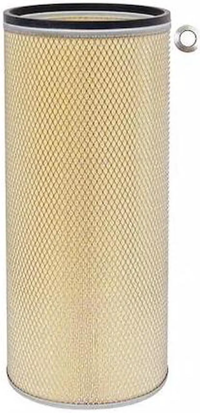 Main image of BALDWIN FILTERS PA2563 Air Filter,10-1/4 x 22-1/2 in.