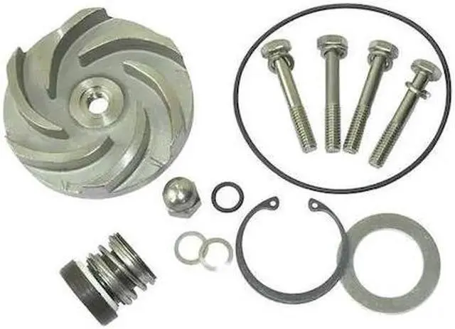 Alt view image 2 of 2 - DAYTON 21TG91 Pump Repair Kit,For 2ZWZ1A