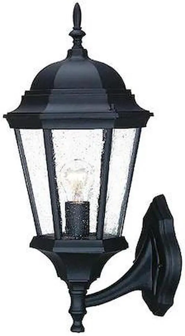 Main image of ACCLAIM LIGHTING 5250BK/SD Wall 1-Light Seeded,Matte Black
