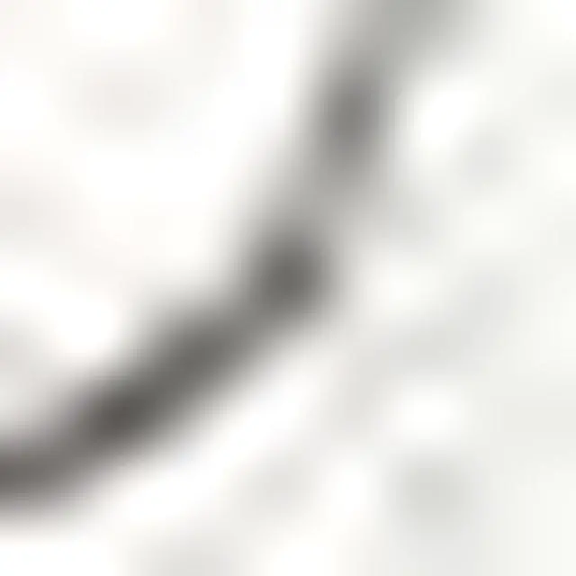 Main image of PARTNERS BRAND G11071G Shipping Tags, 13 Pt., 5 3/4" x 2 7/8", White, 1000/Case