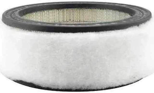 Main image of BALDWIN FILTERS PA2107 Air Filter,9 x 3-1/4 in.