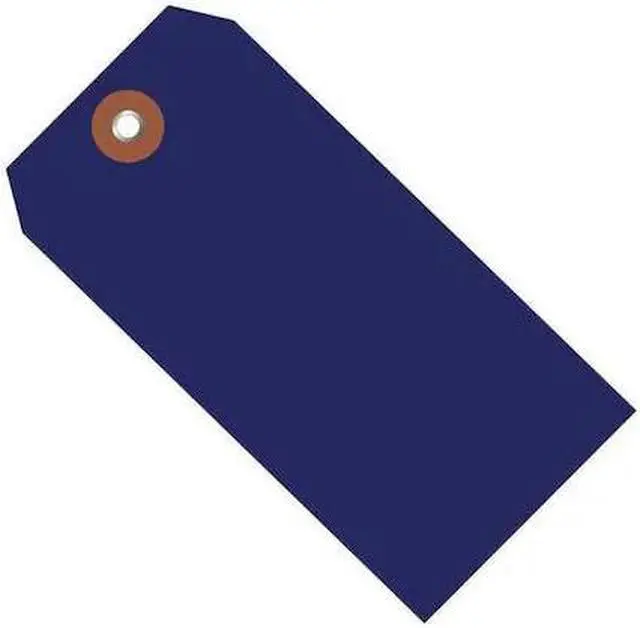 Main image of PARTNERS BRAND G26062 Plastic Shipping Tags, 6 1/4" x 3 1/8", Blue, 100/Case