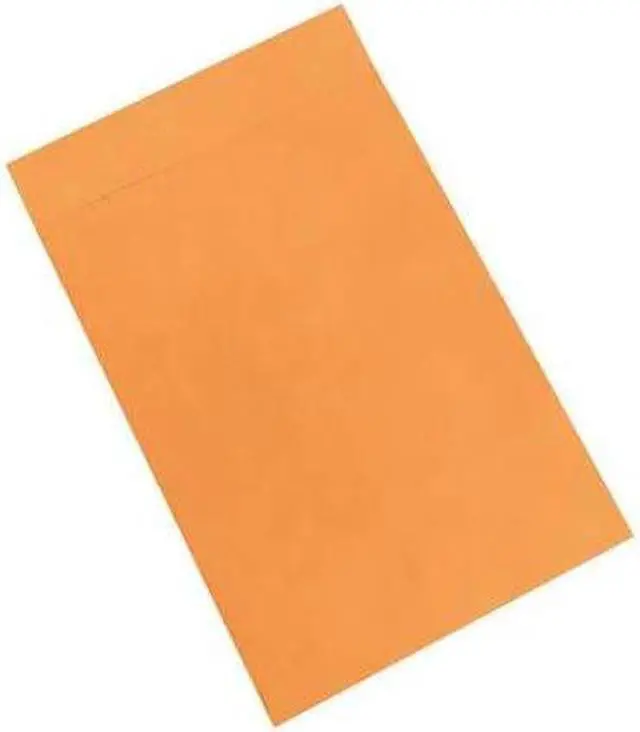 Main image of PARTNERS BRAND EN1080 Jumbo Envelopes, 12 1/2" x 18 1/2", Kraft, PK100