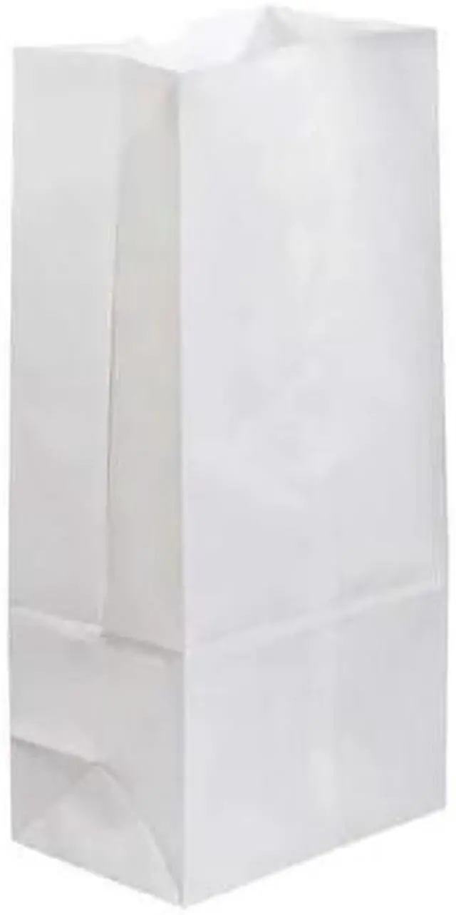 Main image of PARTNERS BRAND BGG108W Grocery Bags, 7 3/4" x 4 3/4" x 16", White, 500/Case