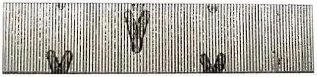 Alt view image 3 of 6 - A100629 23 Gauge x 5/8-in Electro-Galvanized Headless Micro Pin 2,600-Pack