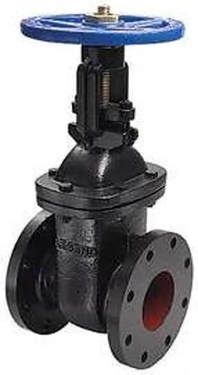 Main image of LEGEND VALVE 116-122 2-1/2 T-303 OSY CAST IRON GATE