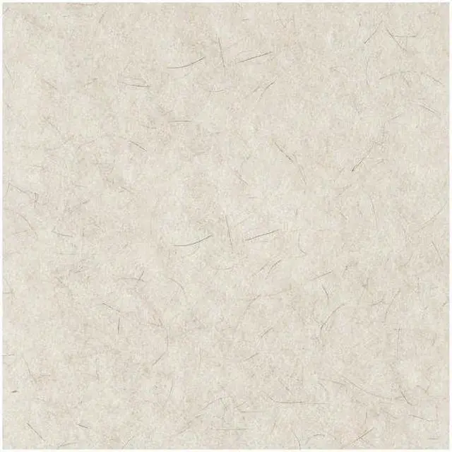 Alt view image 9 of 9 - Ultra High-Speed Natural Hair Floor Pads 17" Diameter White 5/Carton
