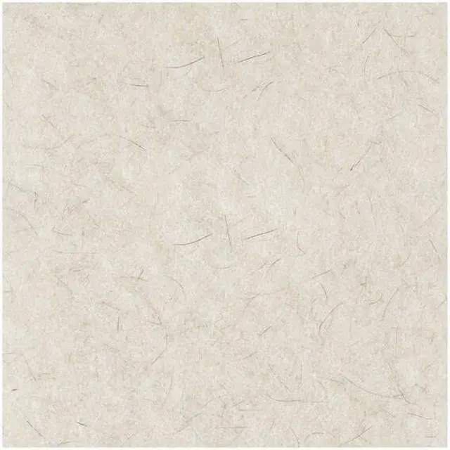 Alt view image 6 of 6 - BOARDWALK BWK4024NAT Natural White Burnishing Floor Pads, 24" Diameter, PK5