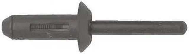 Main image of ZORO SELECT 9054PK Blind Rivet, Dome Head, 17/64 in Dia., 3/4 in L, Nylon Body,