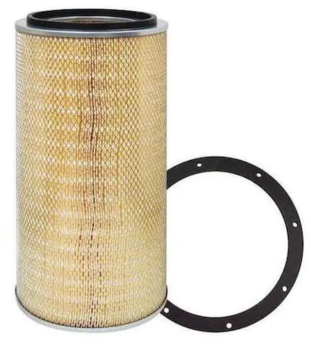 Main image of BALDWIN FILTERS PA2312 Air Filter,10-3/8 x 22-13/16 in.