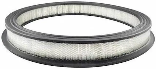 Main image of BALDWIN FILTERS PA631 Air Filter,17-5/16 x 2-3/16 in.