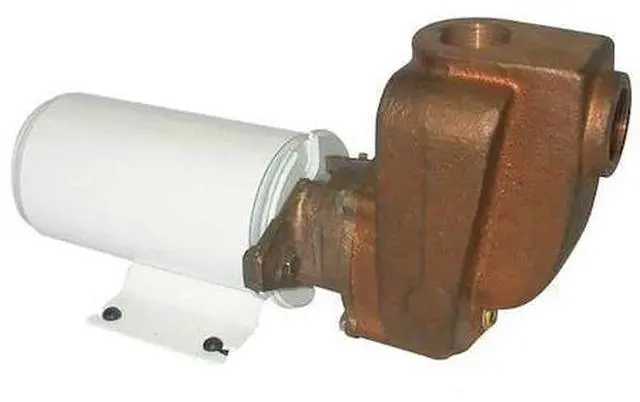 Alt view image 2 of 2 - DAYTON 5PXX5 Brass 1/8 HP Centrifugal Pump 12V