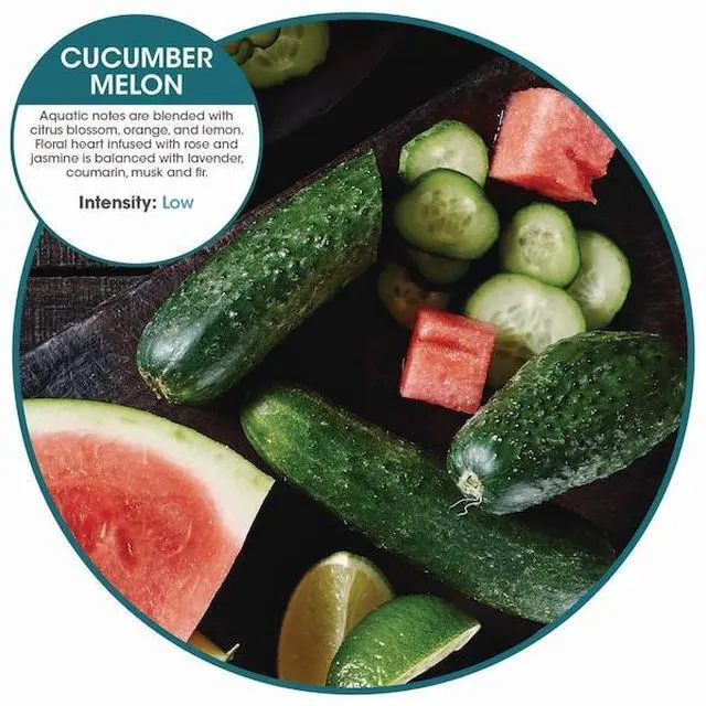 Alt view image 10 of 10 - Fresh E Cucumber Melon Refill 6/Box