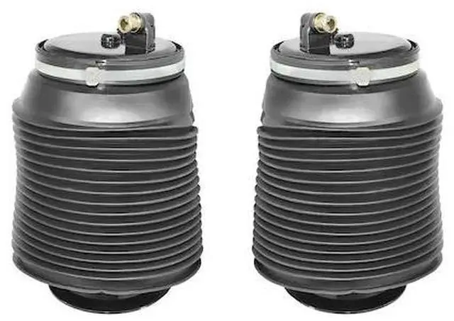 Main image of UNITY 2-15-562001-15-562002 2-15-562001-15-562002 Rear Air Spring Kit