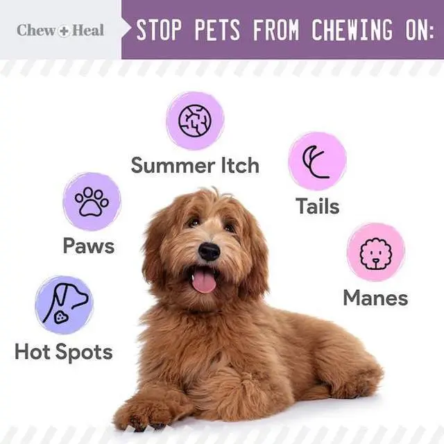 Alt view image 3 of 7 - CHEW + HEAL CH-38538 No Chew Spray - 8oz