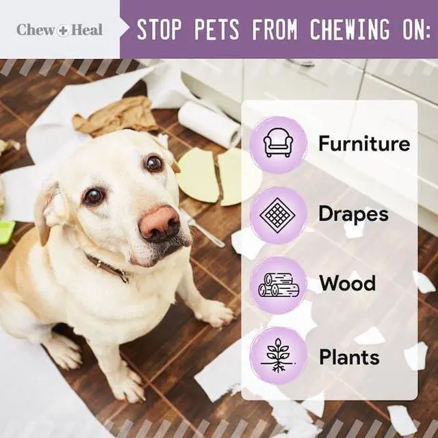 Alt view image 2 of 7 - CHEW + HEAL CH-38538 No Chew Spray - 8oz