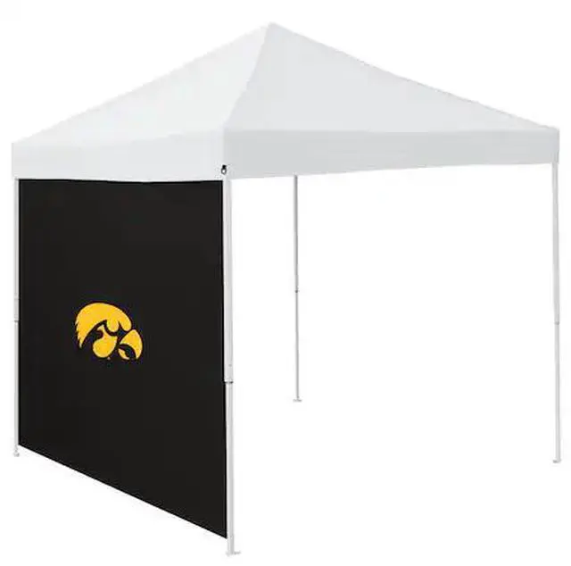 Main image of LOGO BRANDS 155-48 Iowa Black 9 x 9 Side Panel