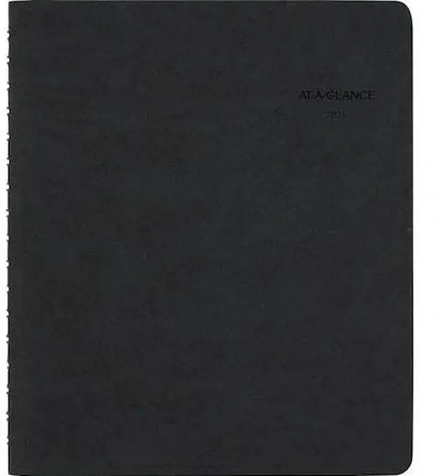 Main image of AT-A-GLANCE AAG70EP0305 Book, Appt, Daily, Action, Tabs