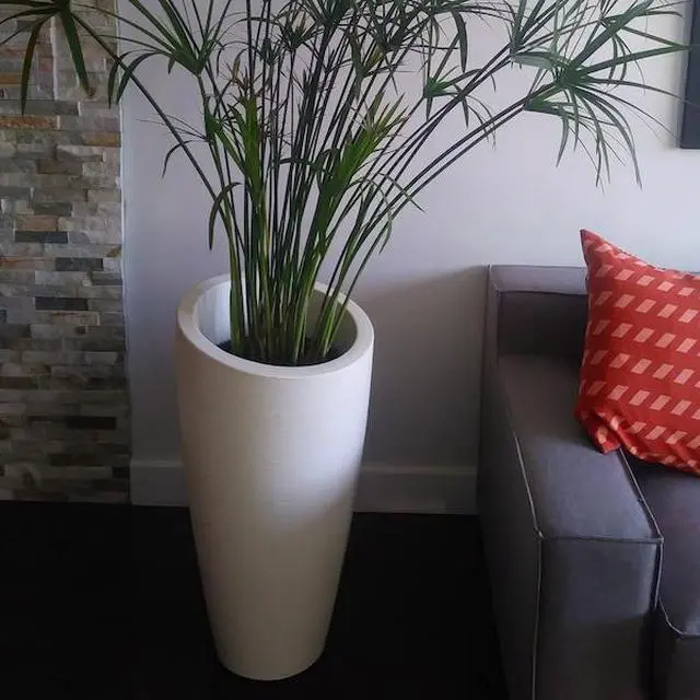 Alt view image 6 of 7 - MAYNE 8880-W Modesto 32" Tall Planter - White