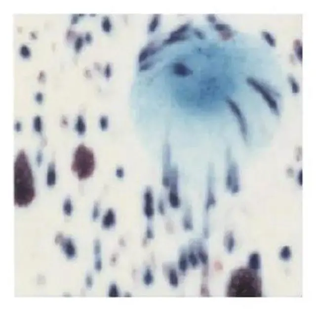 Main image of SAX S2671X True Flow Crystal Magic Glaze, Peacock Eye, 1 Pint