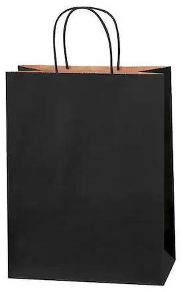 Main image of PARTNERS BRAND BGS104BL Tinted Shopping Bags, 10" x 5" x 13", Black, 250/Case