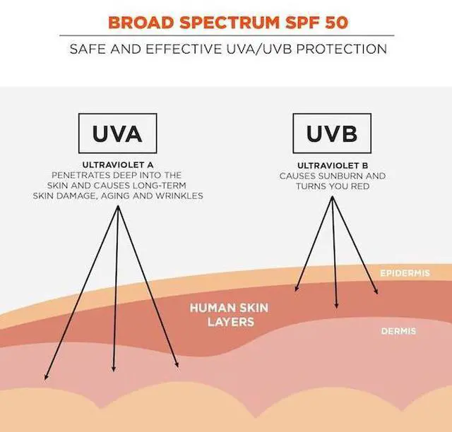 Alt view image 4 of 7 - ERGODYNE 6355-4PK SPF 50 Sunscreen Lotion, 32 oz., PK4