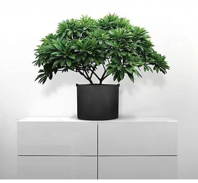 Alt view image 5 of 5 - IPOWER GLGROWBAG7X5 7-Gallon Fabric Aeration Pots Container with Strap Handles