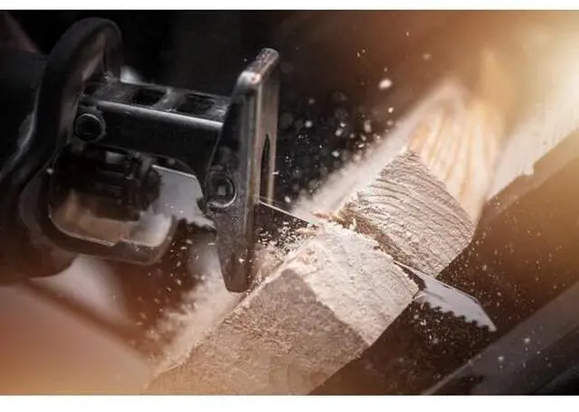 Main image of RICHELIEU 813091 (14-Piece) 6 in to 9-inch (152 mm to 229 mm) Reciprocating Saw