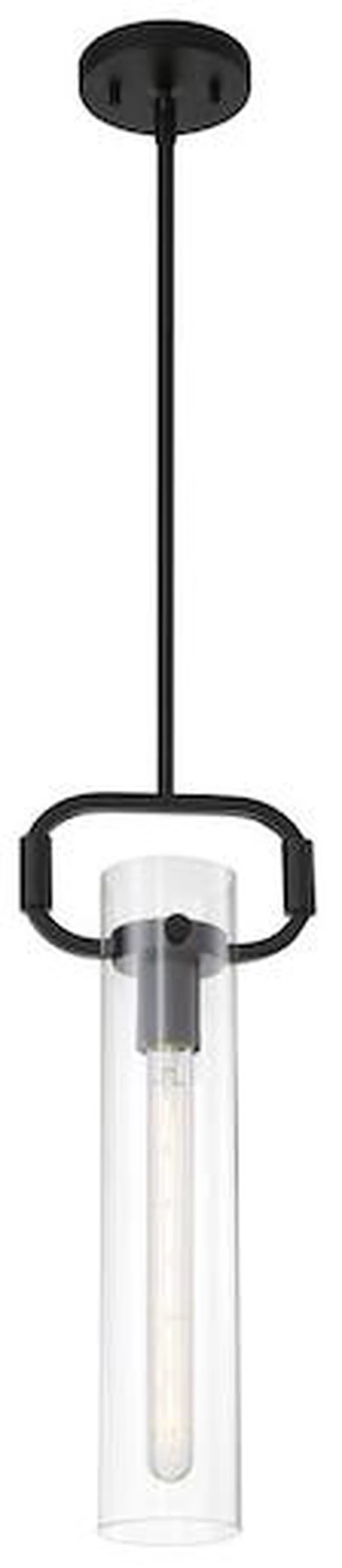 Main image of NUVO 60/7153 Fixure, Pendant, 1-Light, Incandescent, 60W, 120V, T9, Medium