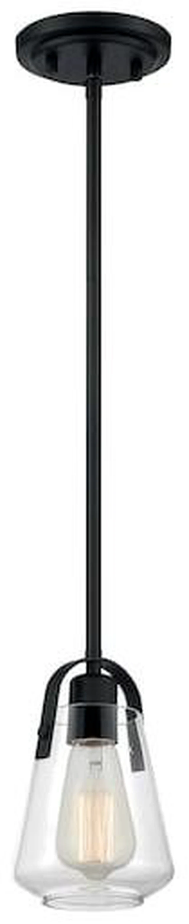 Main image of NUVO 60/7106 Fixture, Pendant, 1-Light, Incandescent, 60W, 120V, A19, Medium