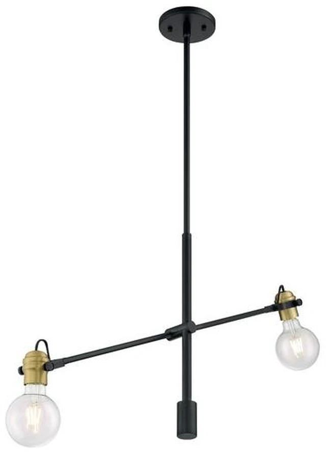 Main image of NUVO 60/6988 Fixture, Pendant, 2-Light, Incandescent, 100W, 120V, A19, Medium
